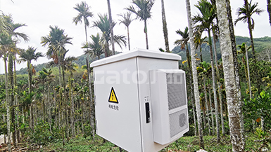 動(dòng)、植物園