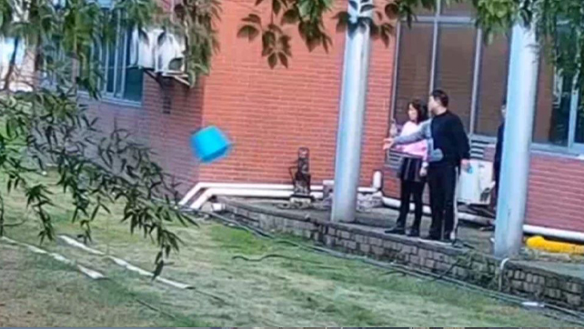 用數(shù)據(jù)說話，風(fēng)雨小動物不誤報！