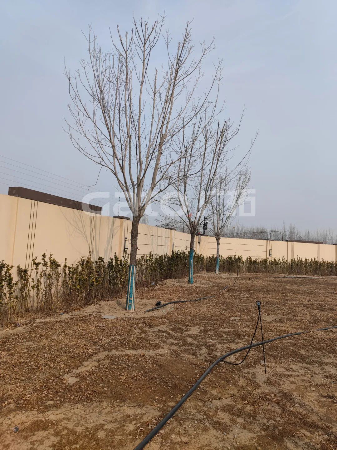 國家建筑節能技術國際創新園投產,廣拓G5s守護周界安全(圖8)