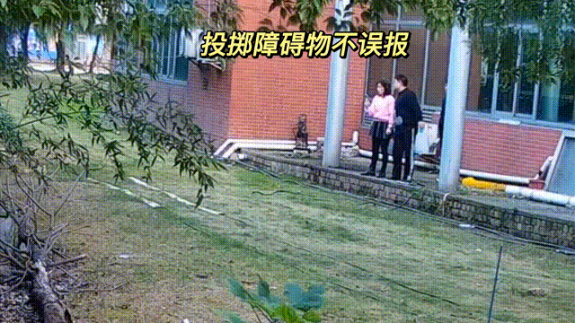 用數據說話，風雨小動物不誤報！(圖11)