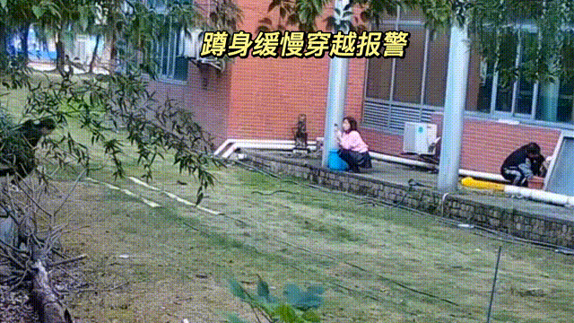 用數據說話，風雨小動物不誤報！(圖9)