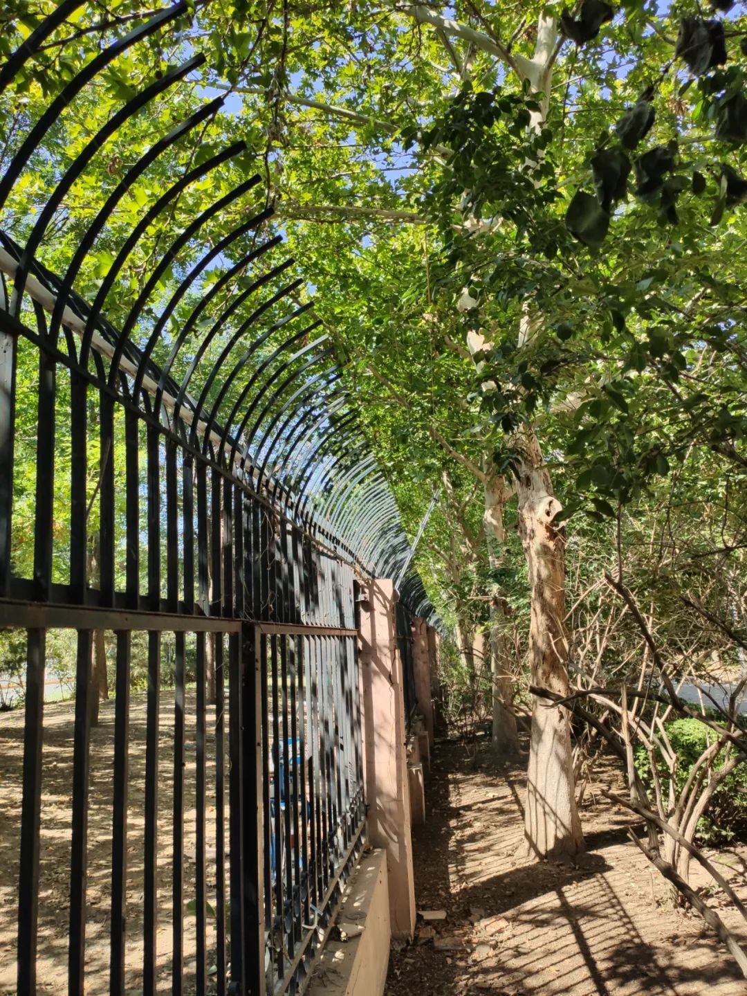 開(kāi)學(xué)季！廣拓給孩子們最好的禮物是安全！(圖10)