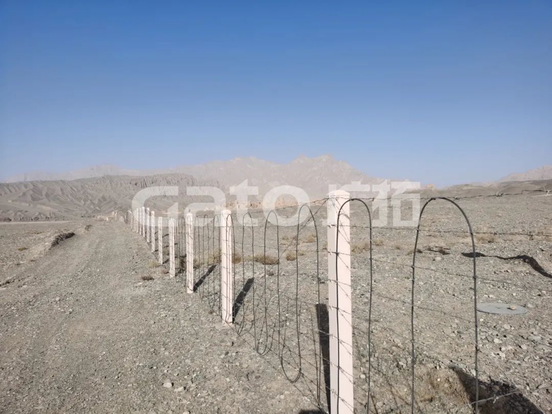 “唐僧”取經路過的新疆古佛寺,千年后用上了廣拓F7振動光纖系統!(圖4)