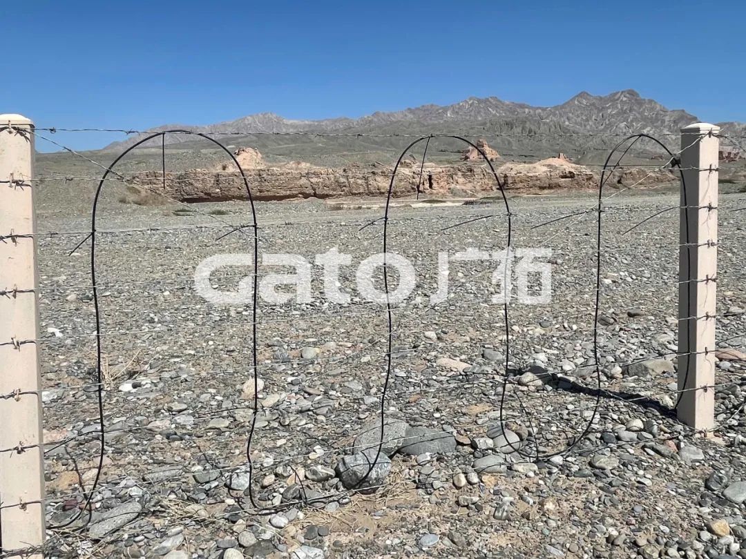 “唐僧”取經路過的新疆古佛寺,千年后用上了廣拓F7振動光纖系統!(圖7)