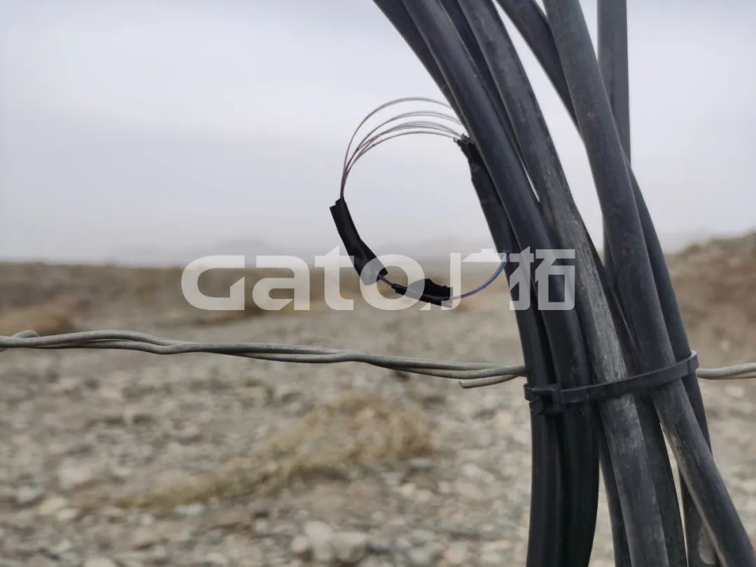 “唐僧”取經路過的新疆古佛寺,千年后用上了廣拓F7振動光纖系統!(圖12)