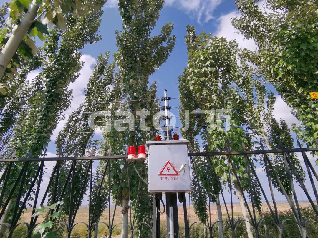 在2021年結束前,這53個廣拓下半年經典案例推薦你看……(圖33)