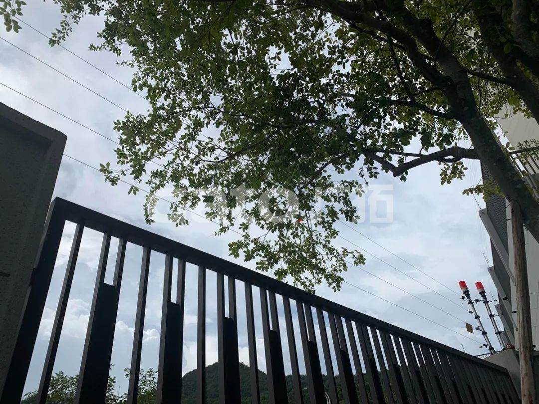 在2021年結束前,這53個廣拓下半年經典案例推薦你看……(圖34)