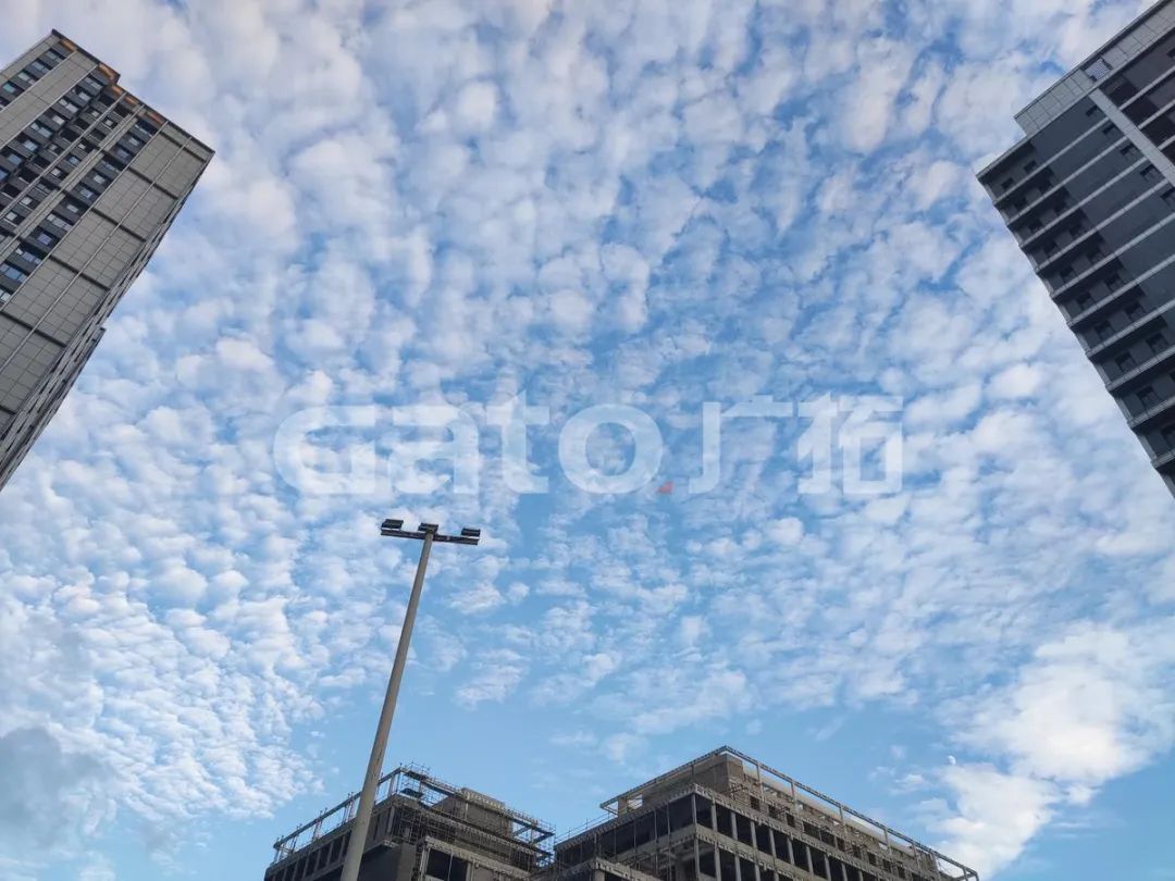 在2021年結束前,這53個廣拓下半年經典案例推薦你看……(圖39)