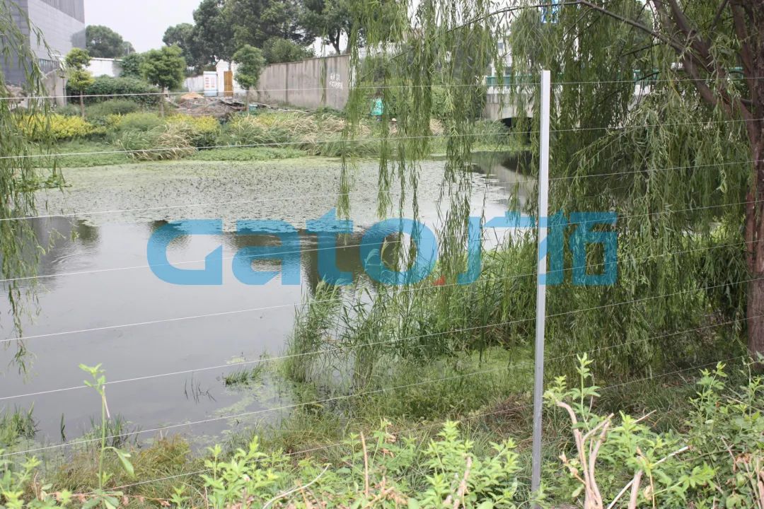 一文解鎖15種電子圍欄特殊安裝場景!(圖32)