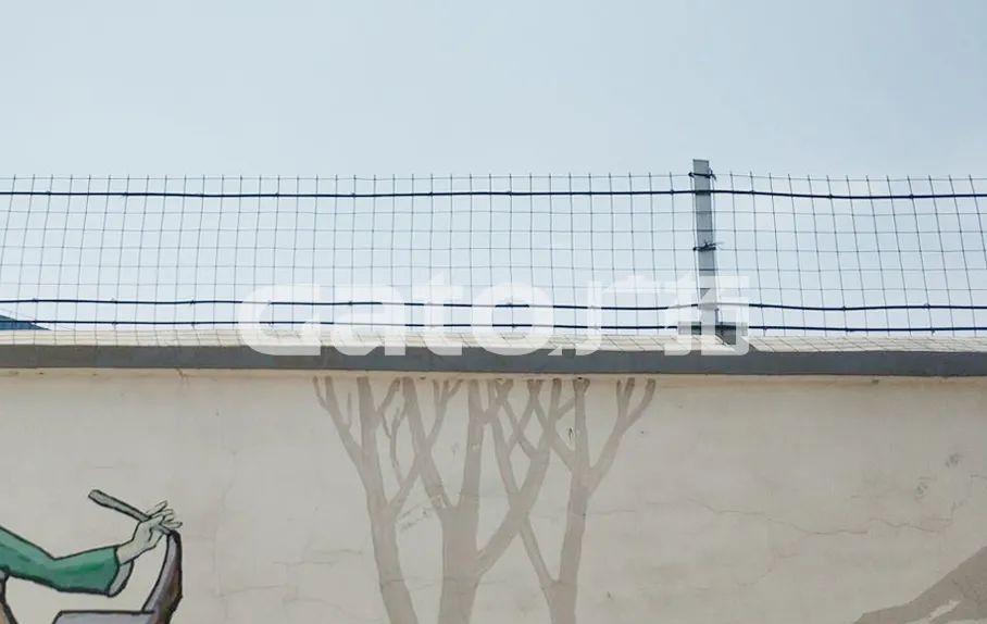 干貨|太全了，振動光纖7大場景的安裝方式圖文詳解！(圖14)