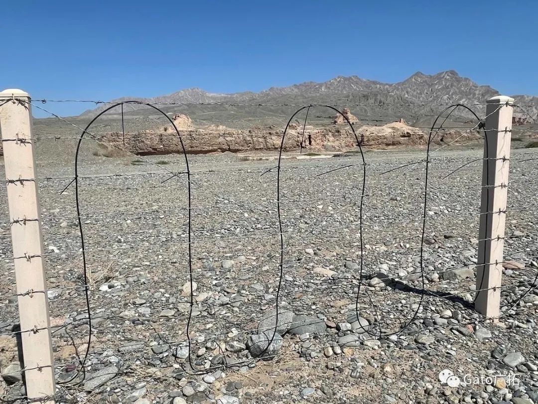 2021進度條已過半，速速圍觀廣拓上半年精選案例！(圖8)