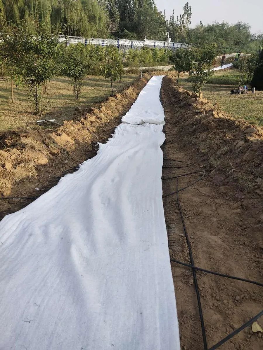 穿越回殷商王朝？15萬片甲骨的安全我來守護！(圖5)