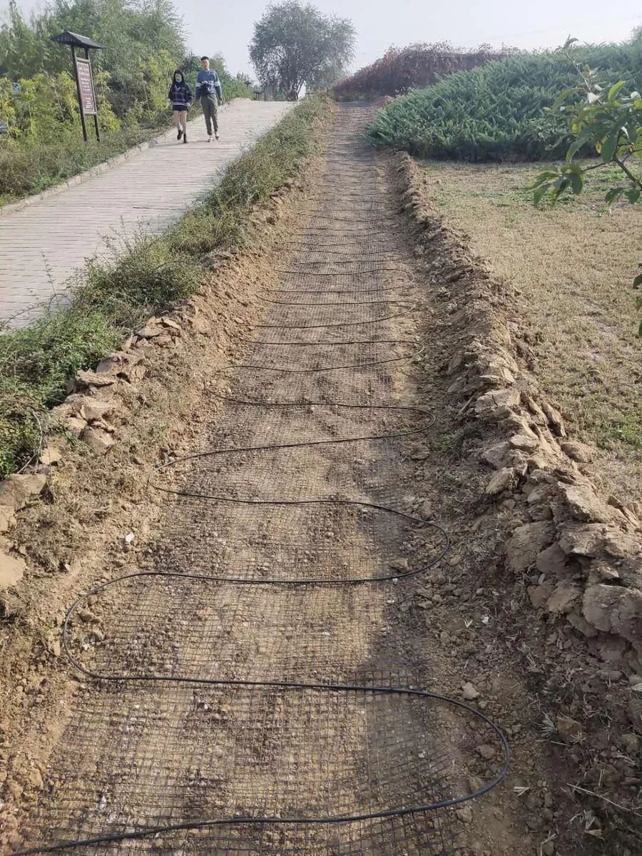 穿越回殷商王朝？15萬片甲骨的安全我來守護！(圖6)