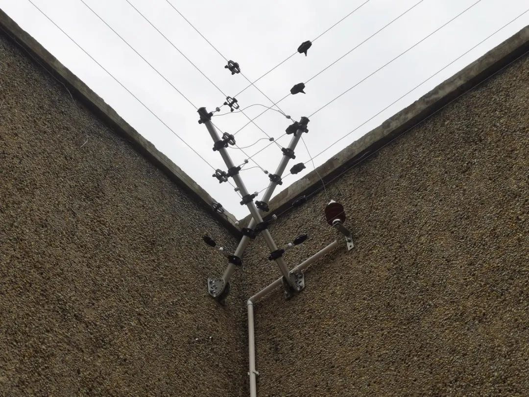 穿越回殷商王朝？15萬片甲骨的安全我來守護！(圖9)