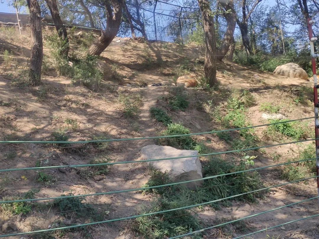 五一你負責浪~我負責安全感~(圖13)