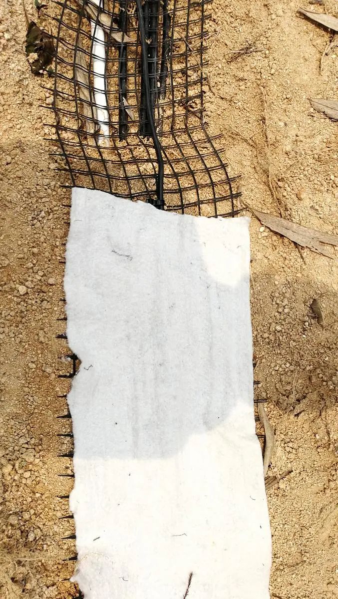 五一你負責浪~我負責安全感~(圖16)