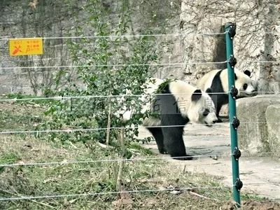 五一出游高峰不必慌，疫情防控神器來幫忙！(圖13)