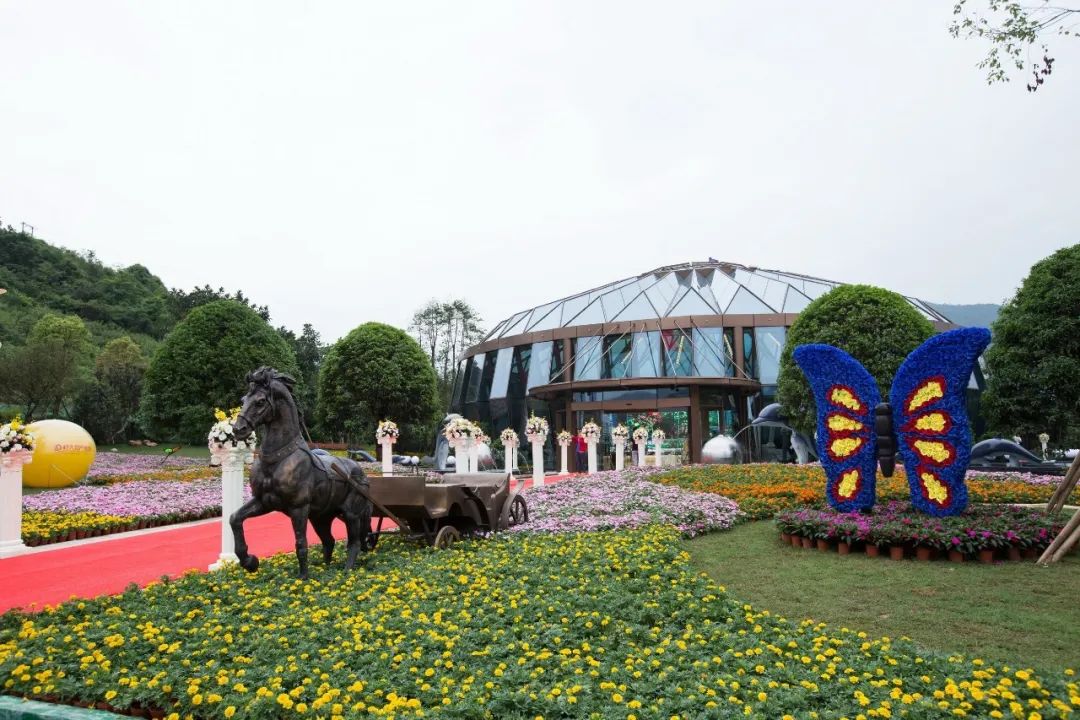 五一出游高峰不必慌，疫情防控神器來幫忙！(圖16)